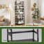 150 cm H x 53 cm W Standard Bookcase-839888660