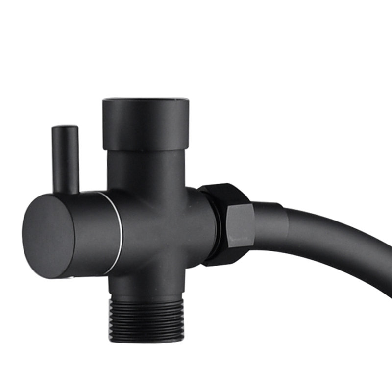 Elongated Hand Held Bidet, Matte Black