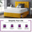 Fales Upholstered Bed-1706003270-1706003275-1706003284