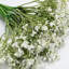 Baby's Breath Arrangement-855628107