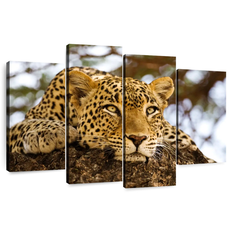 Brampt Leopard Looking For Prey, 42'' H x 68'' W