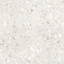 Forage 24" x 24" Matte-1885087859