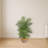 Areca Palm Artificial Tree in Woven Planter