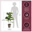 Faux Fiddle Leaf Fig Plant in Pot