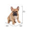 Statue de bouledogue français accroupi