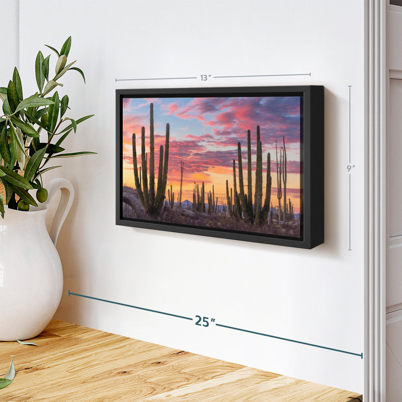 Nature «Art mural Baja California Sunrise», H 9 po x l 13 po