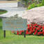 My Fairy Garden Personalized Lawn Plaque-449960076-449960088
