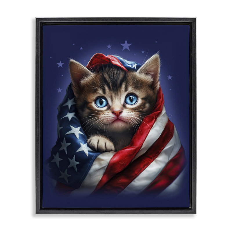 Cadre flottant patriotique pour chaton, design par Jim Baldwin, H 21 po x l 17 po, Cadre flottant noir de jais