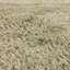 Tachiana Hand Tufted Shaggy Sage Area Rug-1072222796