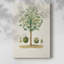 Arbre antique avec fruit VI - galerie Cavas-1223658903