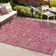 Delcine Bohemian Textured Weave Floral Fuchsia/Light Gray Indoor/Outdoor Rug