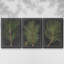 Indigo Leaf Study IV, ensemble de 3 toiles encadrées-97792856-97792859