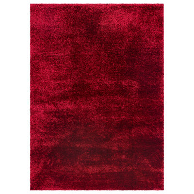 Bhuri Shaggy Area Rug