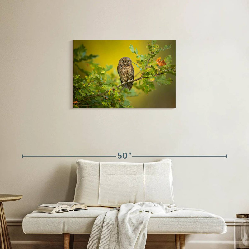Owl Perching On Tree, 20" H x 30" W