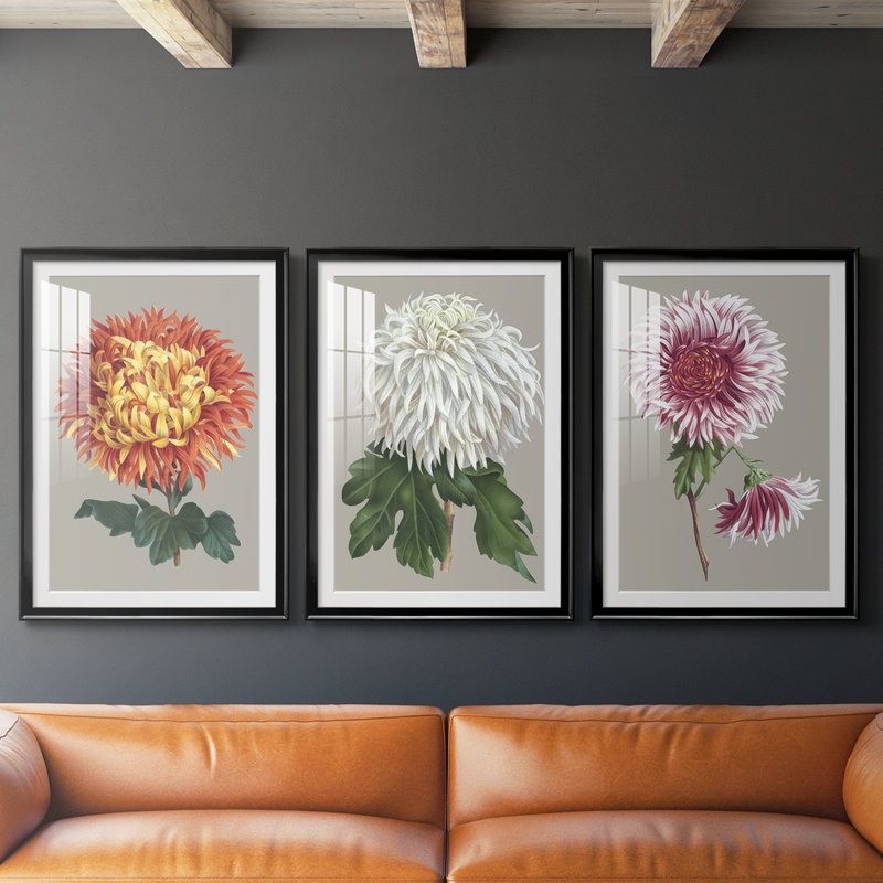 Chrysanthème sur fond gris I - Impression sur mesure encadrée de qualité supérieure - 3 pièces, H 21 po x l 30 po, Noir