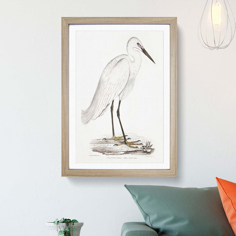 White Heron by John Edward Gray - Framed Print, 36cm H x 27cm W x 2cm D, Oak Framed