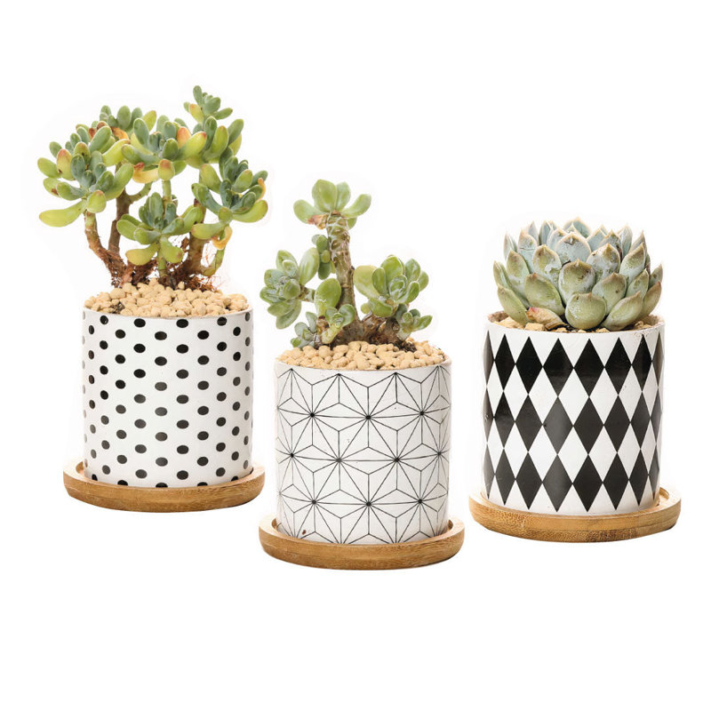 Kennetra Ceramic Pot Planter