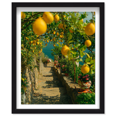 Lemon Grove Shadowbox Food & Beverages Print by Oliver Gal, Black Frame, 16 x 20