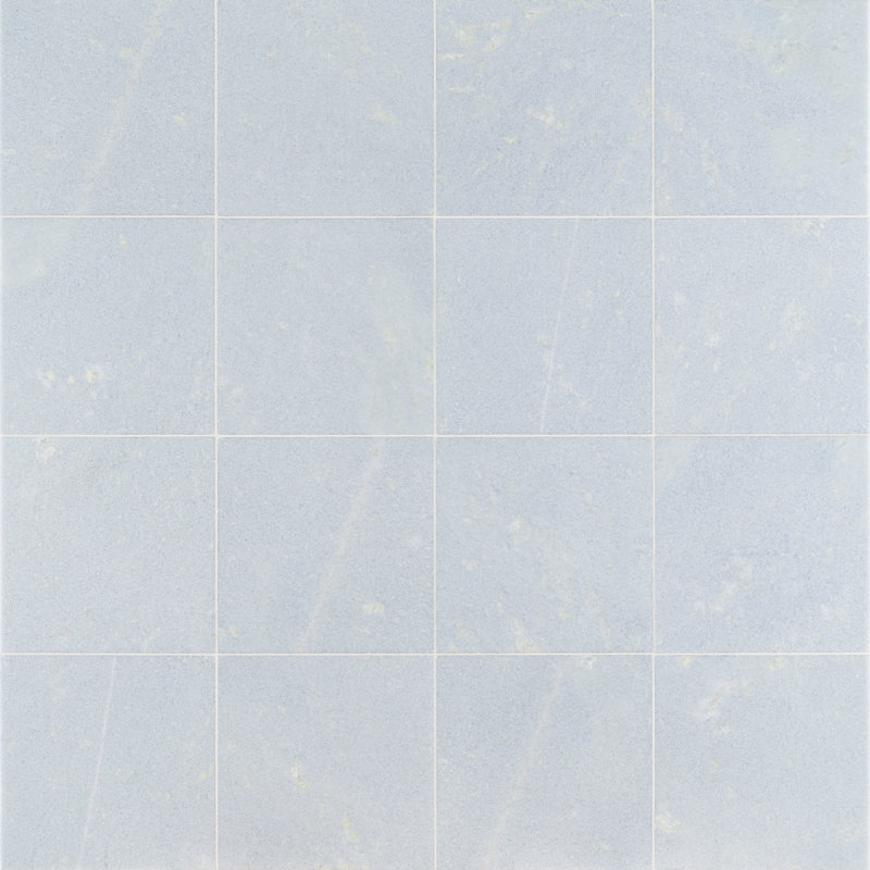 Carreau de marbre et de plancher en marbre poli 12 po x 12 po Raven (10 pieds carrés / caisse)