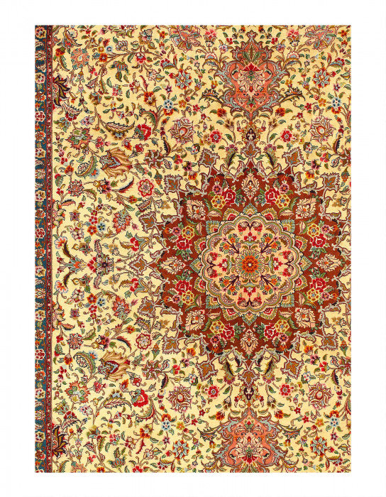 Jaiman One-of-a-Kind 9'11'' X 6'6'' Hand Knotted Area Rug
