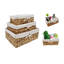 Rebrilliant Seagrass Decorative Basket-1672475184