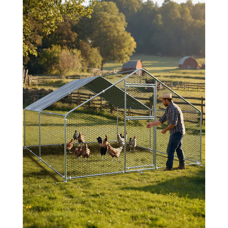 Chicken Run with Wire Mesh