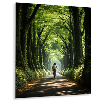 " Bicycle Serene Bicycle Path I "