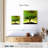 Harnek Green Bonsai Tree