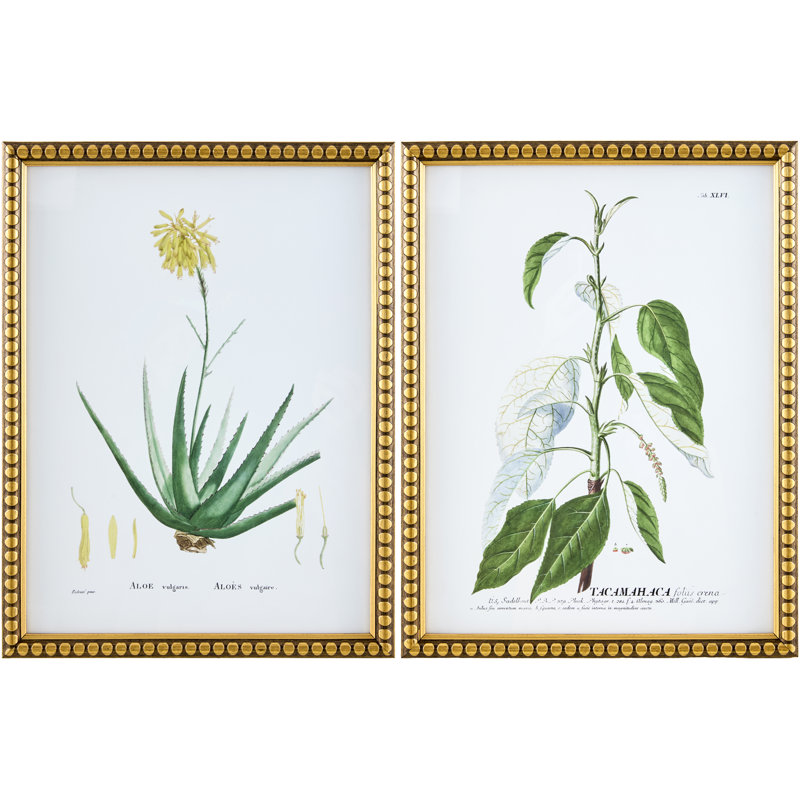 Casas Wall Art
