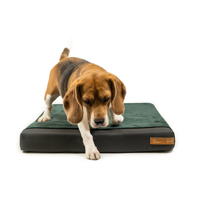 Orthopedic Polyester Pet Bed, 8cm H x 70cm W x 90cm D, Dark Green