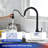 Rainlex Pull Down Kitchen Faucet-100933675