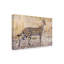 « servo-chasse », reproduction de photo sur toile tendue-30316802