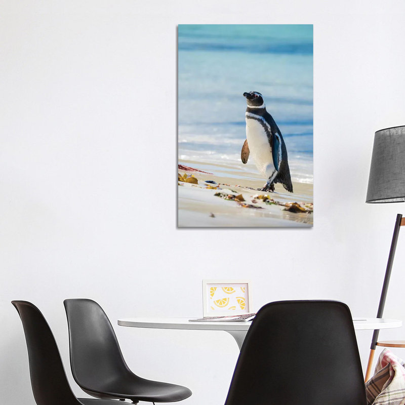 Magellanic Penguin at Beach, Falkland Islands 1 Piece Wrapped Canvas Wall Art, 101.6 cm H x 66.04 cm W x 1.91 cm D