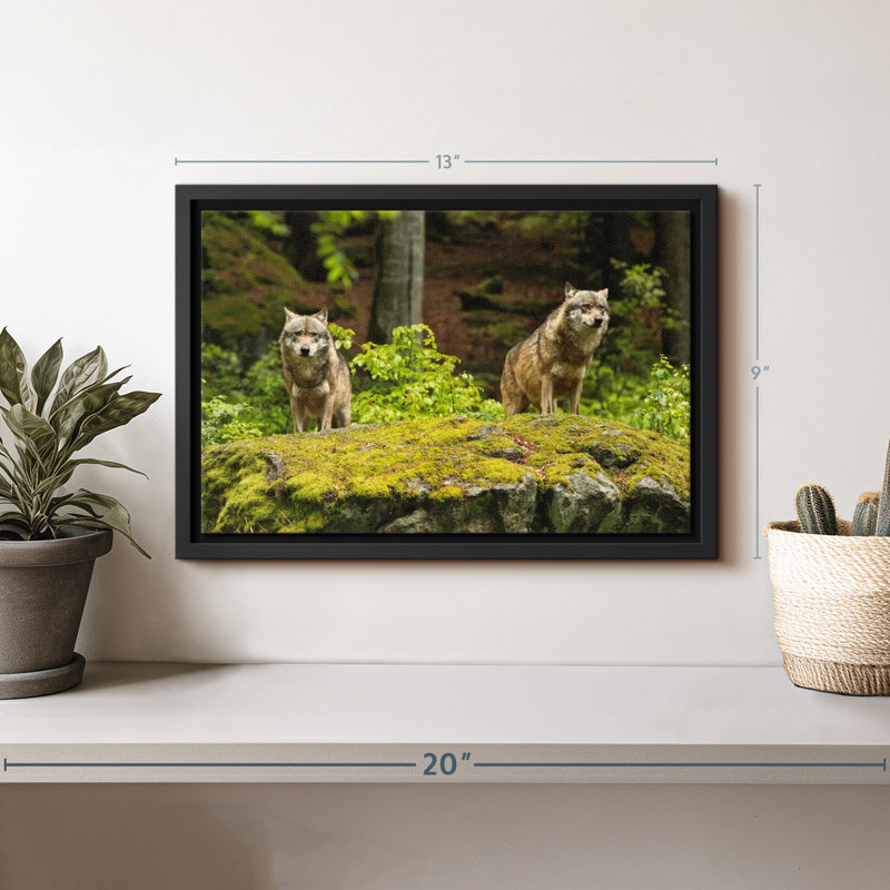 Art loup de chasse, H 9 po x l 13 po