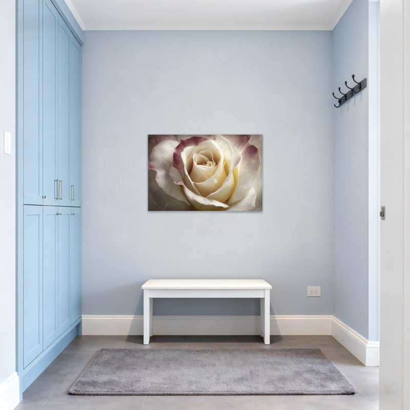 Plantes et fleurs - rose blanche avec bords mauves en gros plan, H 12 po x l 18 po