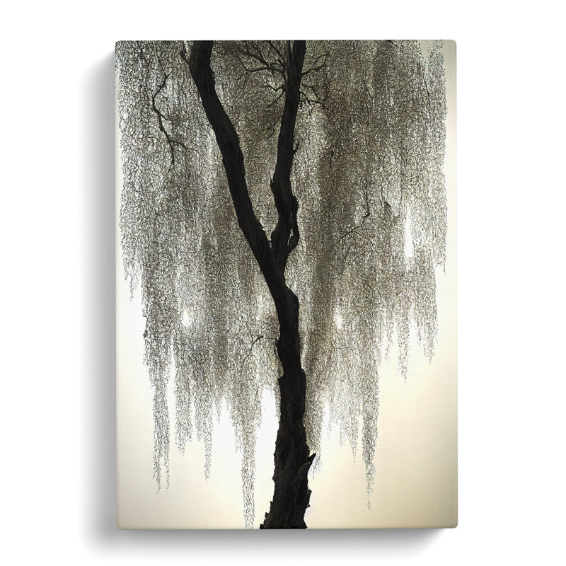 CAN-V0523-2849X Weeping Willow Tree Art Vol.2 1 Piece Wrapped Canvas Wall Art, 50cm H x 35cm W