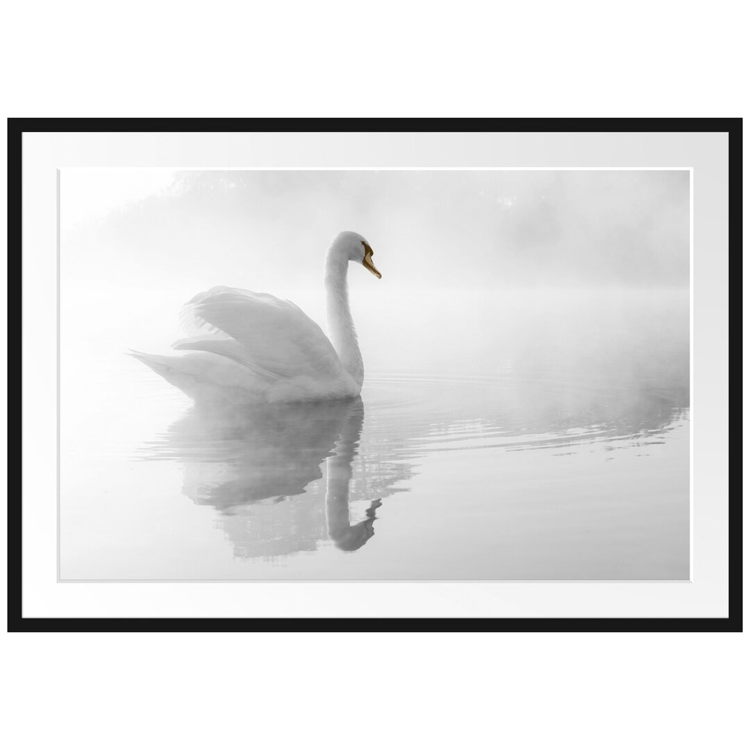 Gerahmtes Poster Schwan im Morgennebel