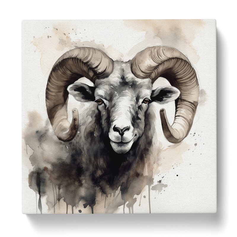 Ram Sheep Ink Wash - No Frame Print