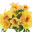 Fresh Looking Peony Floral Arrangement