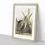 Green Heron by John Audubon - Picture Frame Painting Print-55609124-55609122