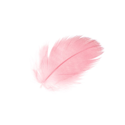Coral Pink Feather 1 Piece Wrapped Canvas Wall Art