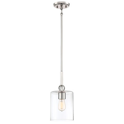 Ivy Bronx Friedman Clear Glass Pendant Light