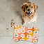 Boogie Nights - 1 Piece Bone Shape Feeding Mat-101634653