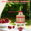 Belfry Kitchen Centrifugal Juicer