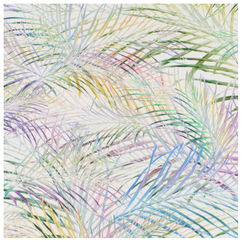 Tissu palmitos, Fronde