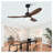 52 Inch Modern Black Ceiling Fan with Light, 3 ABS Blades Remote Control Reversible DC Motor, Dimmable LED Ceiling Fan for Living Room & Bedroom