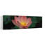 Fleur de lotus dans un étang, art contemporain de fleur de lys-406729308