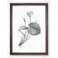 Egyptian Lotus Flower - Picture Frame Painting Print-55725155-55725156