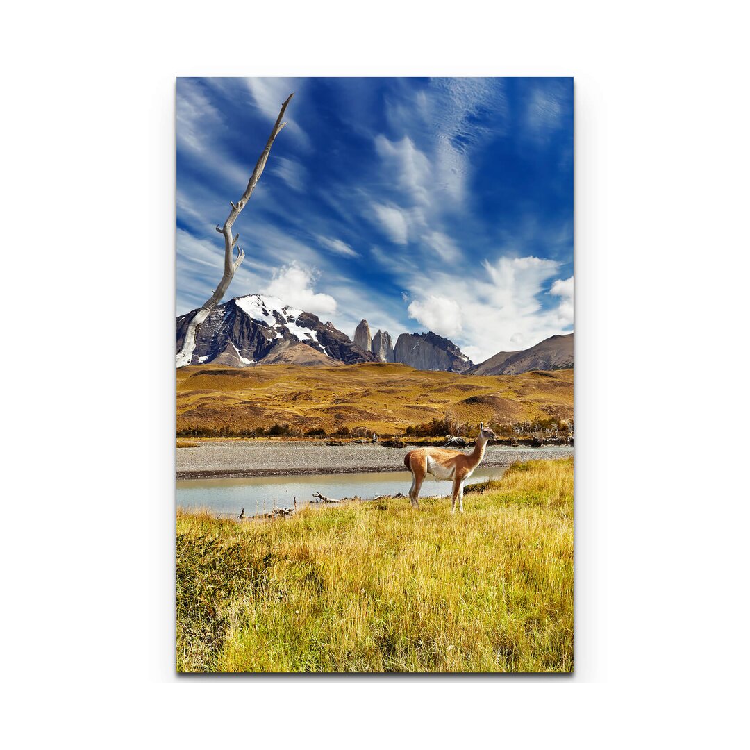 Leinwandbild Nationalpark Torres del Paine  Chile