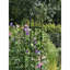 Obélisque de jardin en acier RHS 94,5 po pour plantes grimpantes